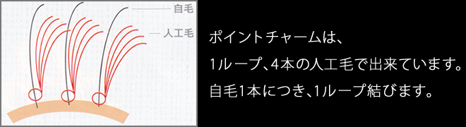 画像：ポイントチャーム図解